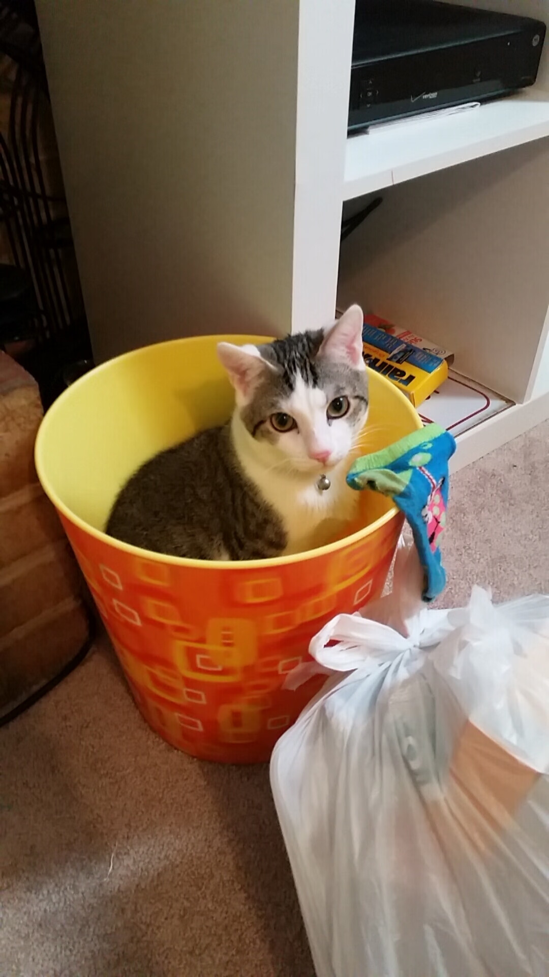 爱游戏娱乐平台-【“快速攻守”成标配】赛场的节奏感全面提升，朏朏技能搭配