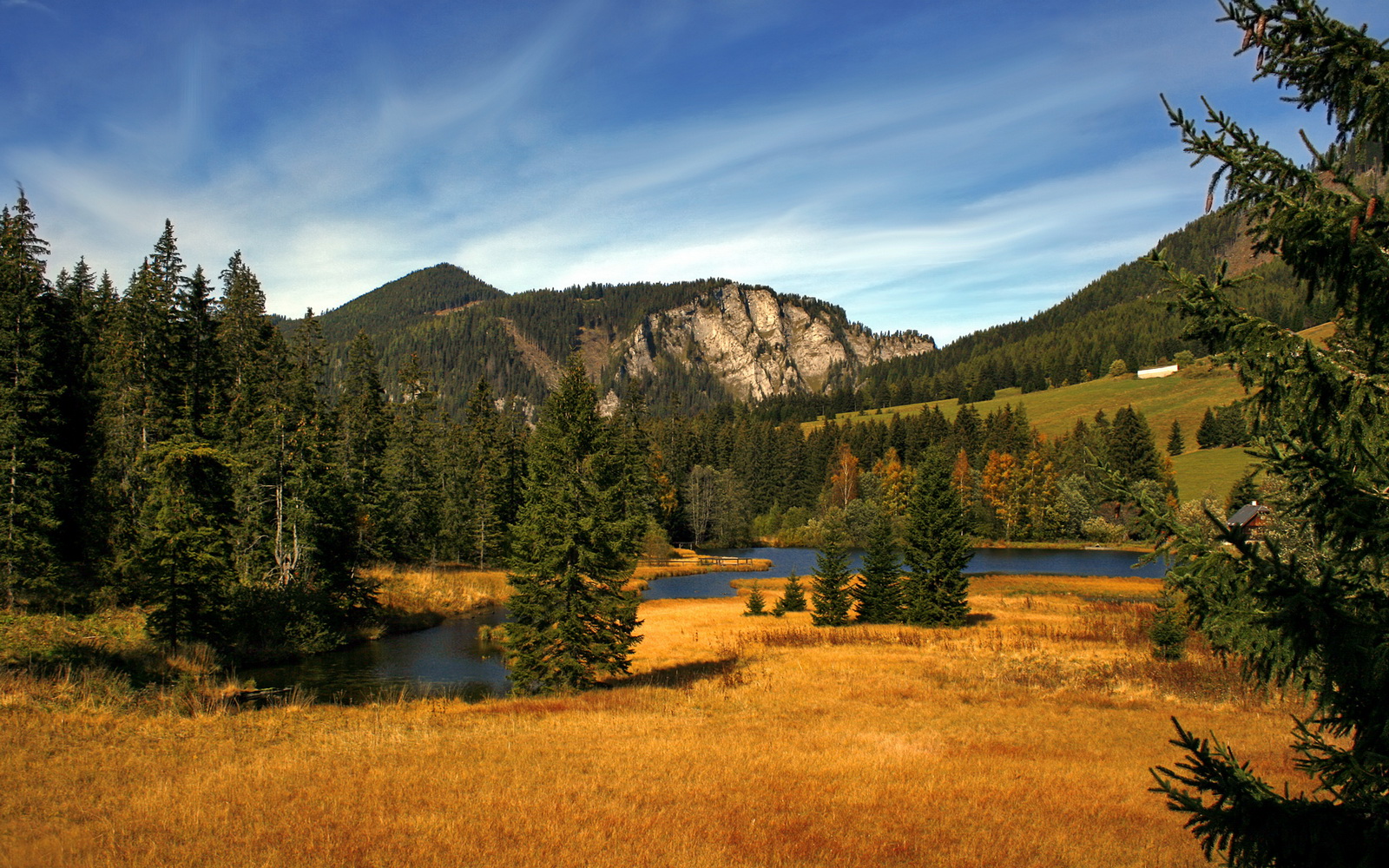 传奇教练的“秘技”——战术思维让球队如虎添翼,传奇足球教练