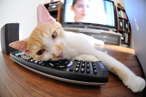 AYX体育-勇士队科尔教练签下3年续约合同，续写金州篇章，勇士主帅科尔