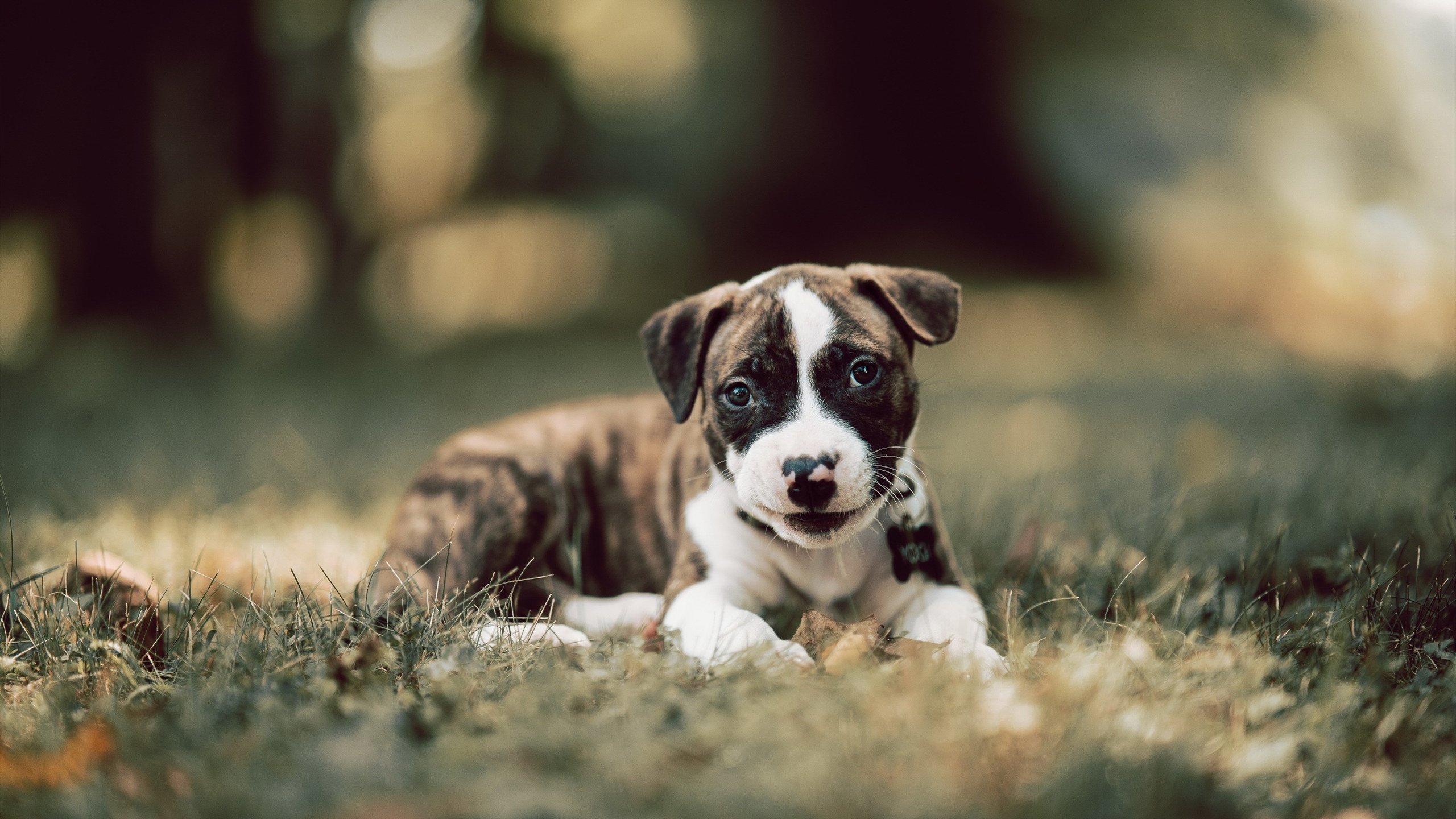 AYX SPORTS-性别平等在电竞行业的逐步实现，女性选手展现风采，电竞男女差别