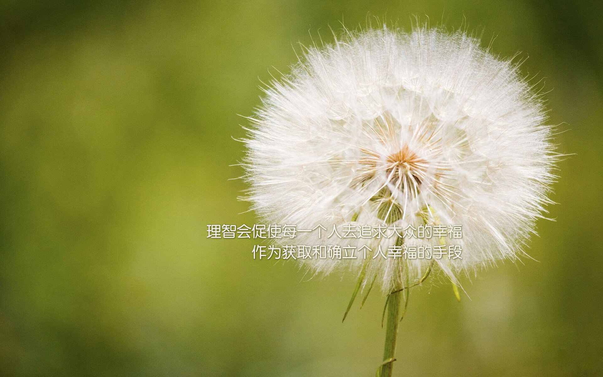 爱游戏体育官方网站-王者荣耀 春季赛精彩对决不断，王者春季赛决赛名单