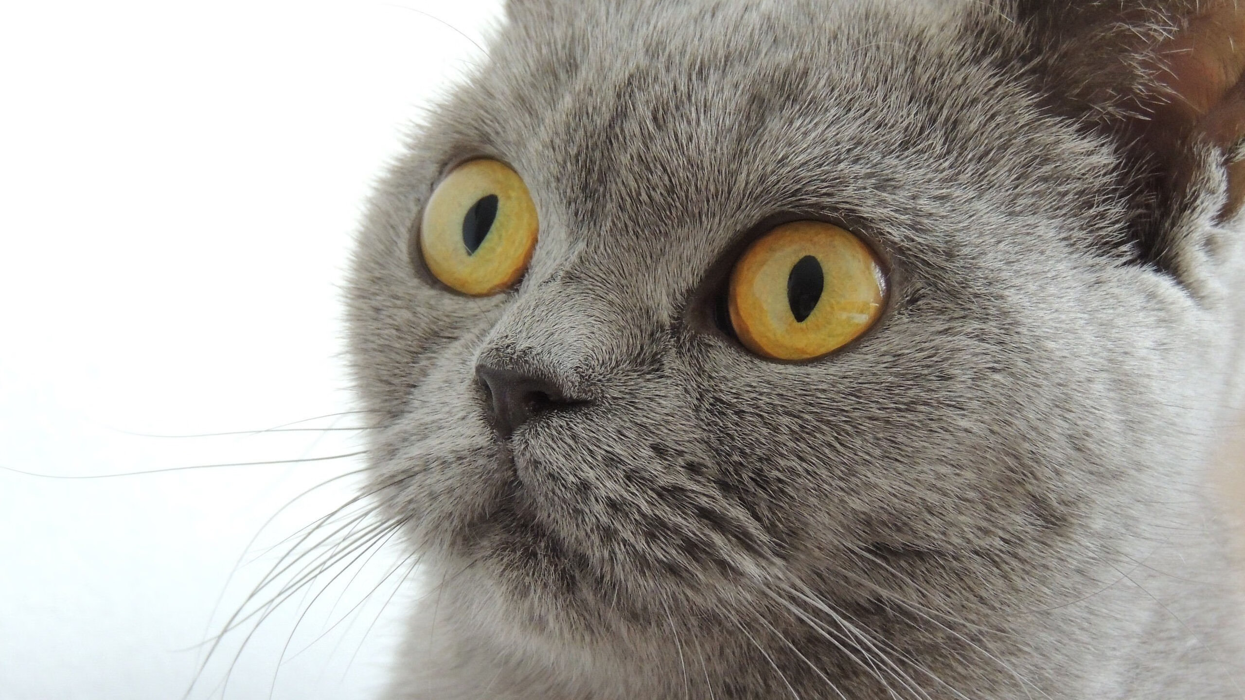 爱游戏登录入口-青少年篮球“启航”成长营在青海西宁举办，培养未来篮球领袖，青少年篮球培训学校