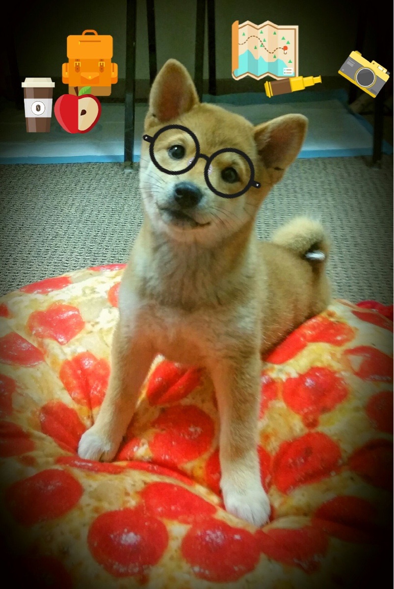 VTB联赛季后赛临近,两队剑拔弩张,vtb联合赛