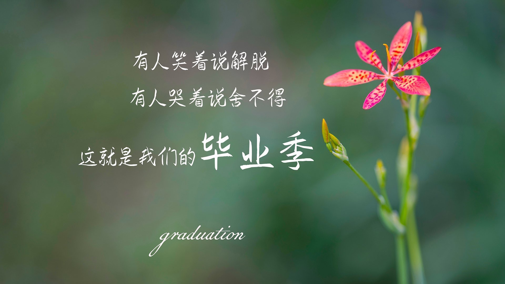 中超球员走进校园,推广足球文化,中超球队的榜样