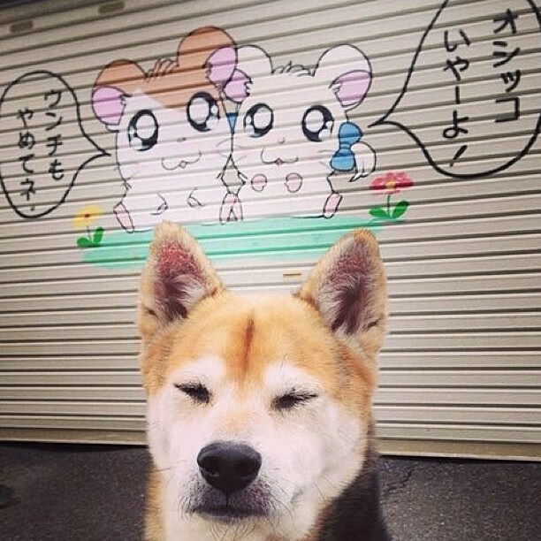 伊朗队中场罗德里格斯在巴黎奥运会上展现出强大的组织能力,德国队 罗伊斯