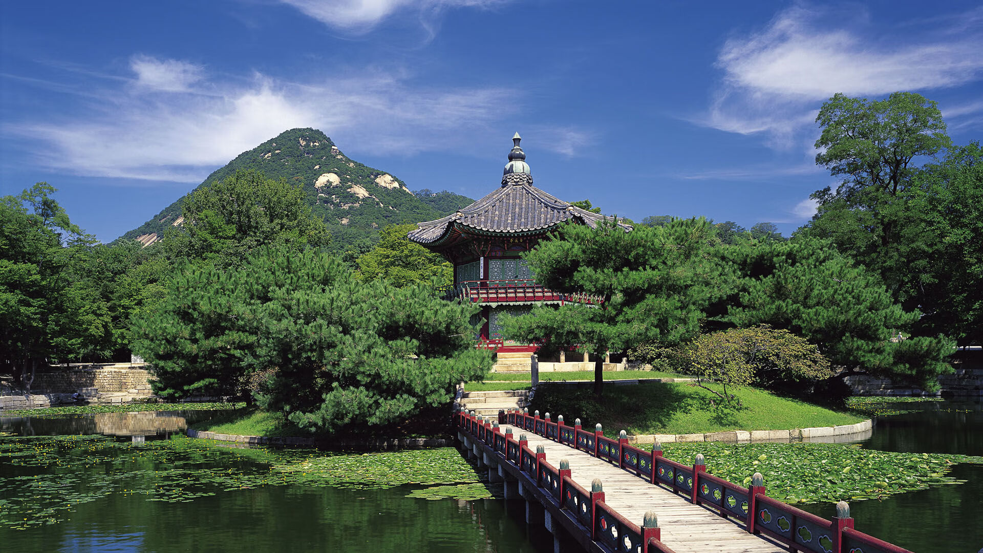 伊朗惊险逆转伊拉克,亚洲杯小组赛再获胜利,伊朗 亚洲杯