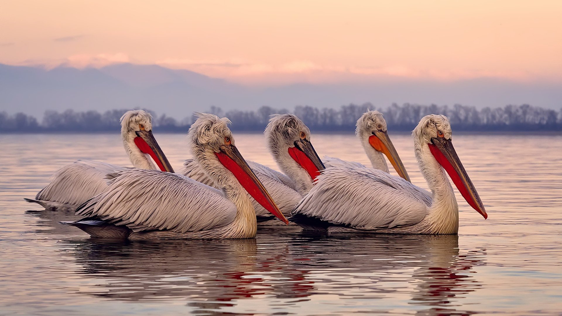 德国边锋祭出致命一击,带队晋级淘汰赛,德国边锋祭出致命一击,带队晋级淘汰赛第几名