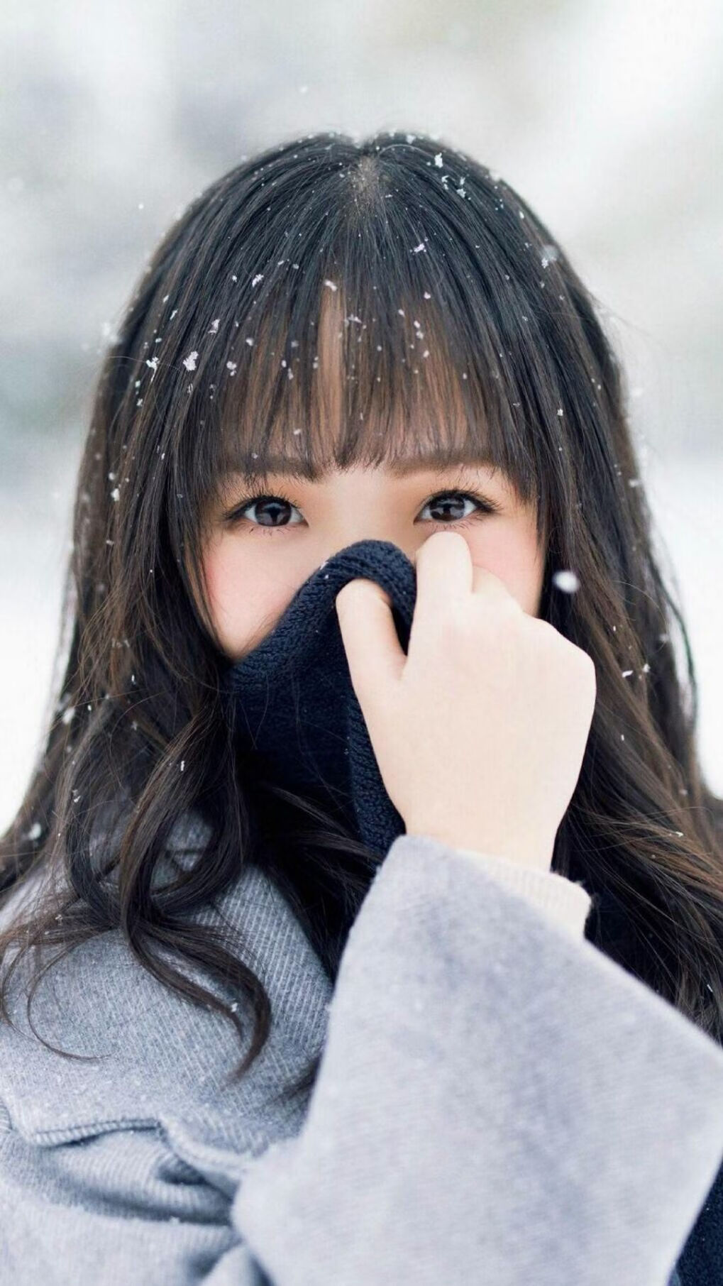 故乡之战备受瞩目,球员斗志高昂,故乡之路简谱