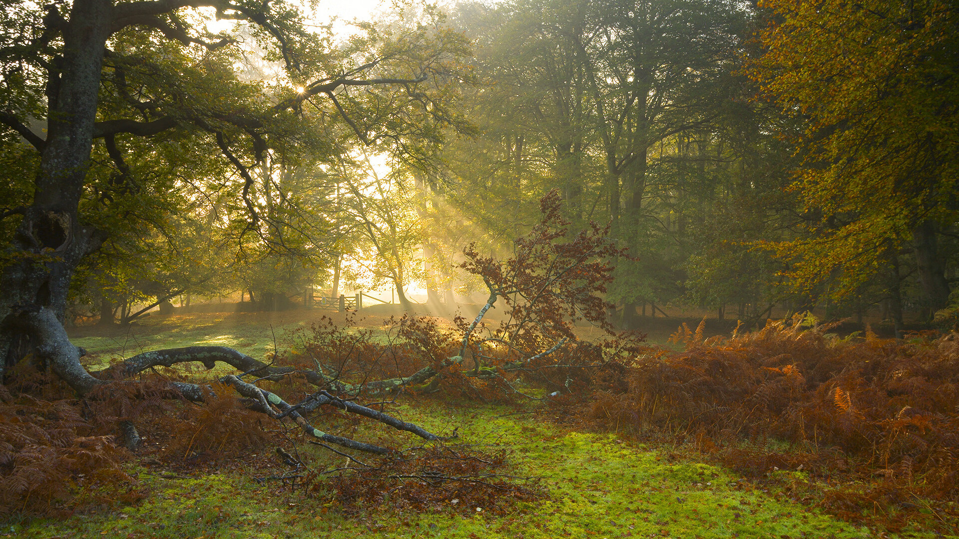 爱游戏体育（AYX）官方APP下载-瓦拉内复出欧洲杯战力急需恢复状态，瓦拉内什么时候上场