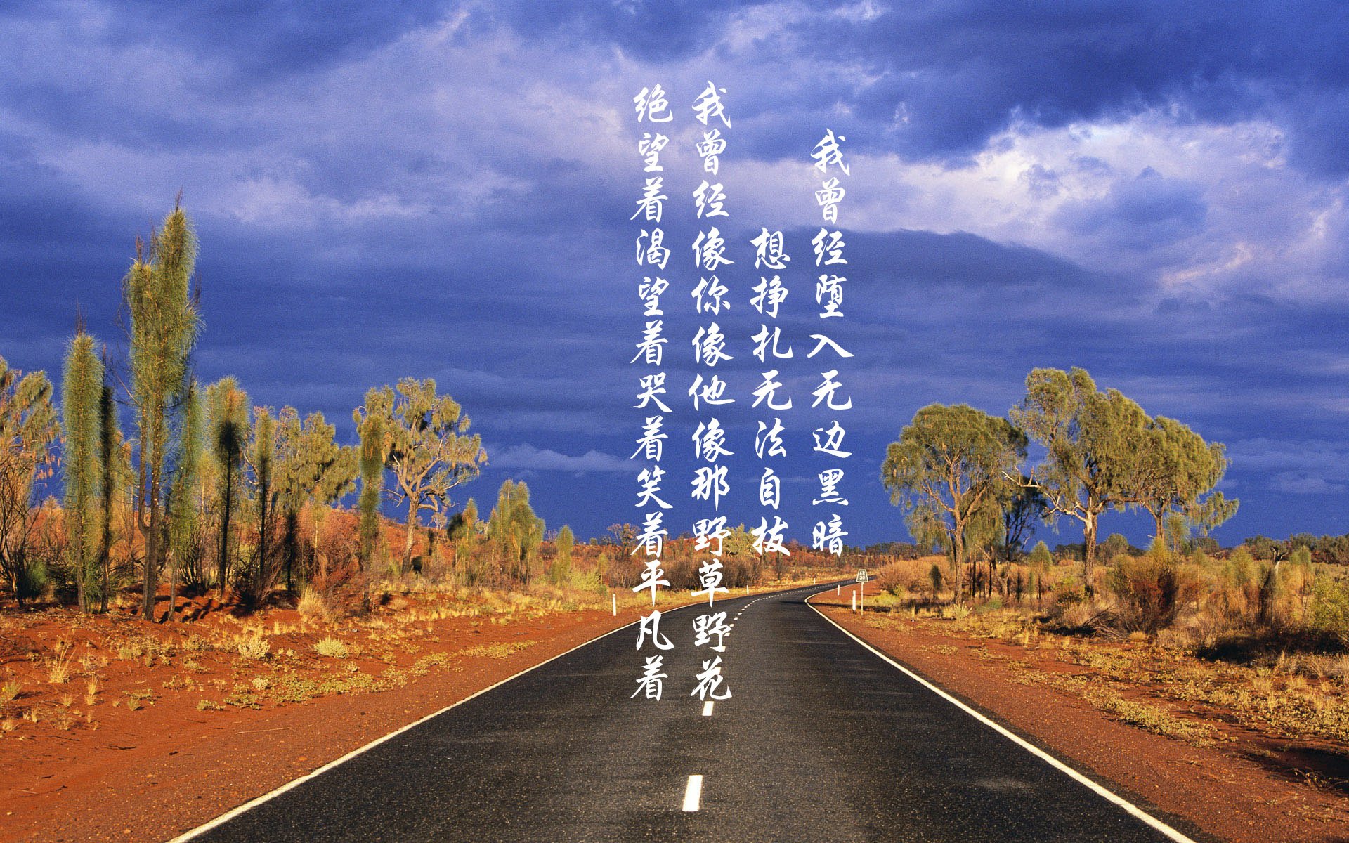 中小学体育教师教学效果评估体系构建,中小学体育工作评估指标体系表范文