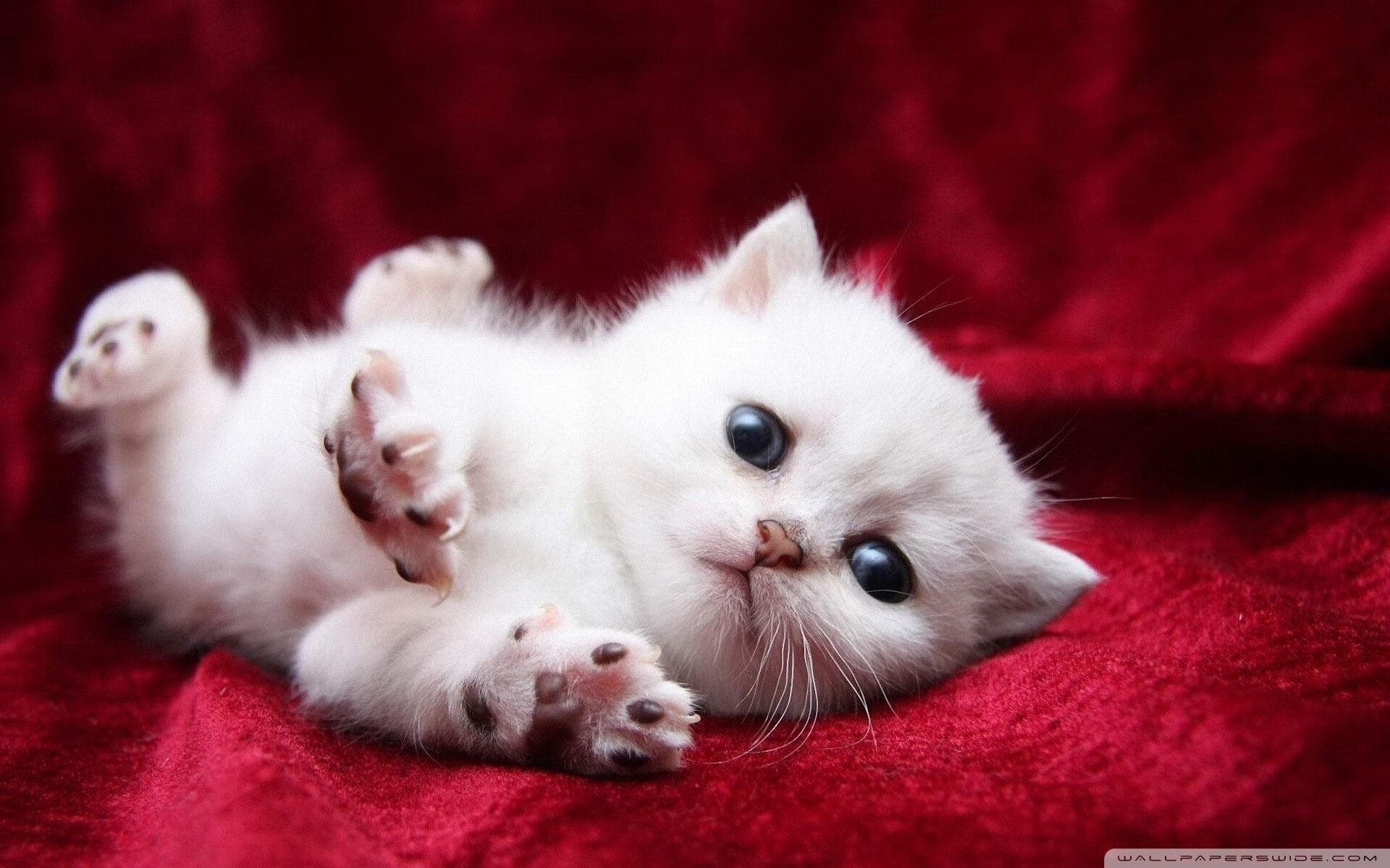 多维度评价体系在高校体育教学中的应用研究,多维度评价是什么意思