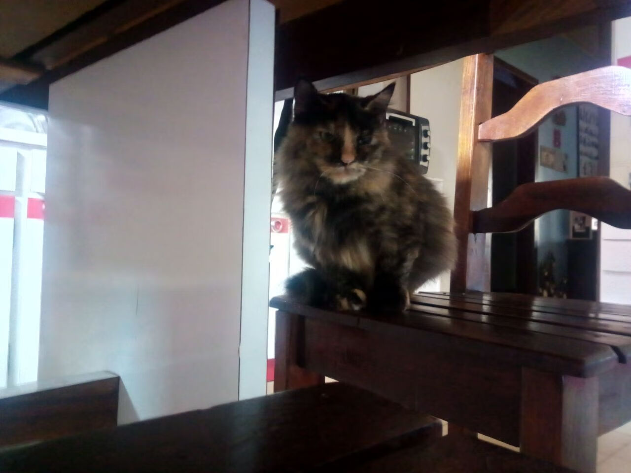 直播技术应用丰富观众互动体验,现场直播的技术要素