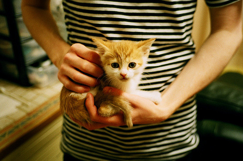 爱游戏体育APP下载-那不勒斯核心组织提升进攻效率，那不勒斯实力