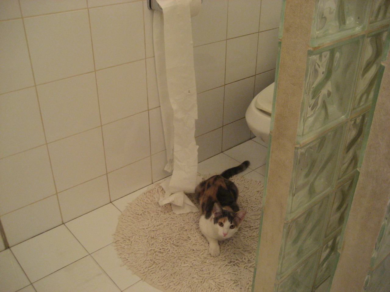 胡贝特·科斯用速度与耐力完美结合,胡贝尔特