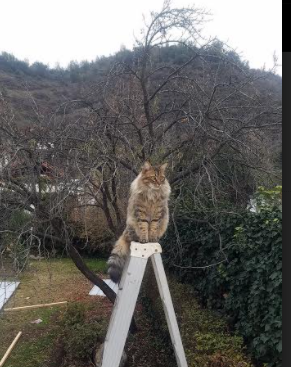 -西甲攻防交锋：精彩时刻轮番上演！，西甲局势分析