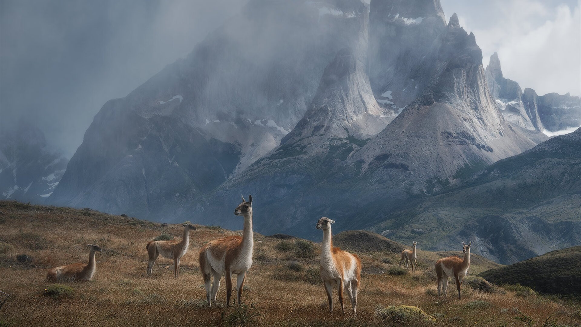爱游戏在线登录入口-霍勒迪组织串联流畅雄鹿整体攻势稳定，霍勒迪雄鹿集锦