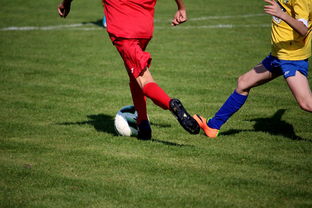 爱游戏登录-世界青少年自行车赛中国骑手再创佳绩，2020全国青少年自行车锦标赛