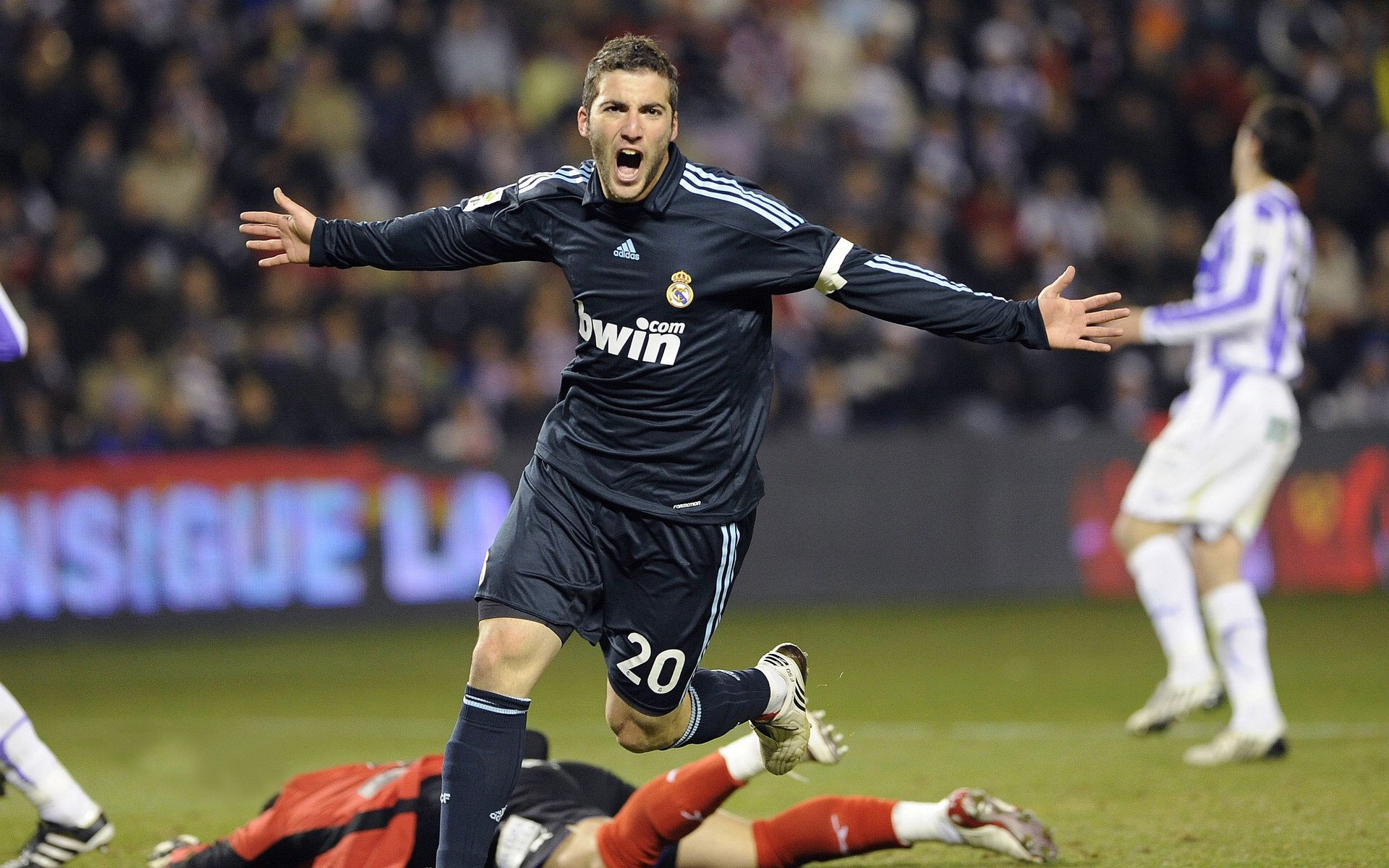 自由搏击裁判岗前训练模拟系统完成测试，自由搏击裁判口令讲解